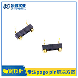 ۏʽpogopinB 2pin